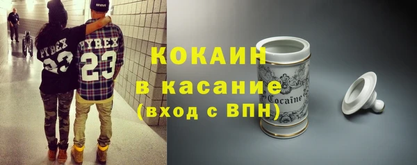 прущие грибы Аркадак