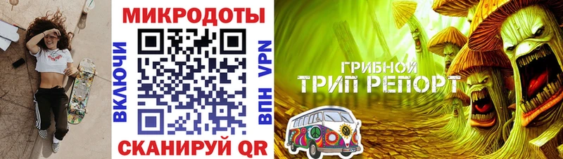Псилоцибиновые грибы Psilocybine cubensis  kraken ТОР  Хотьково 